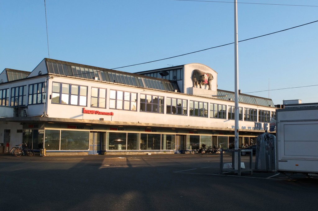 Copenhague (10)