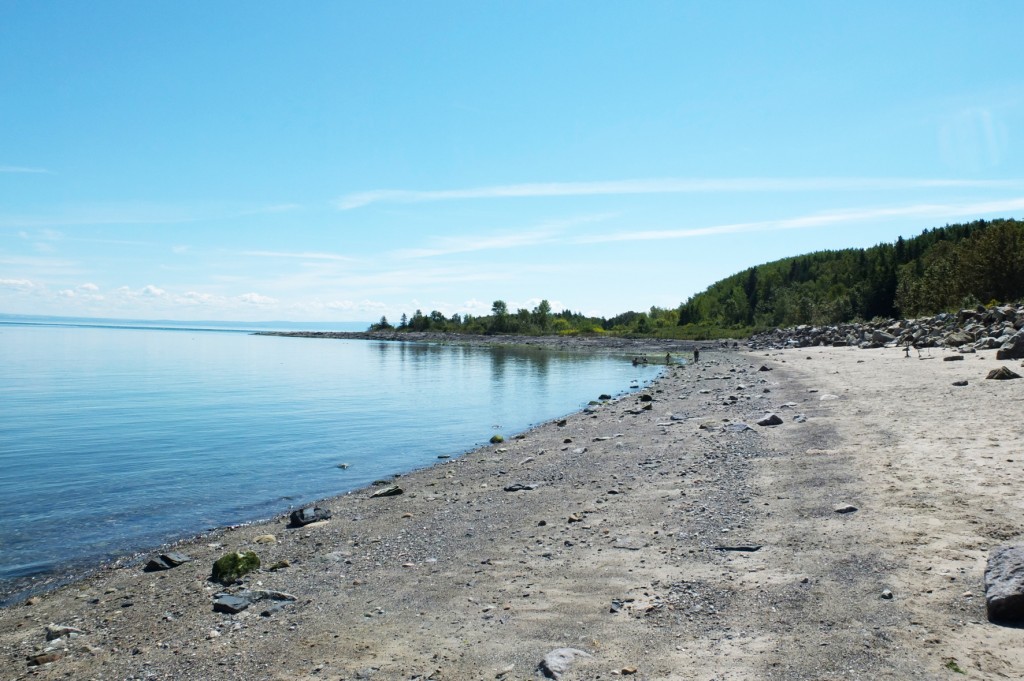 Cap aux oies (1)