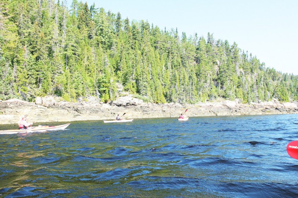 le fjord du saguenay (3)