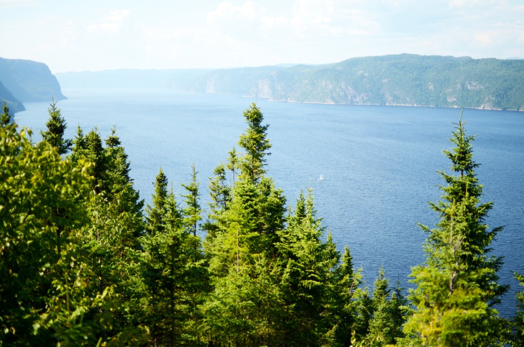 le fjord du saguenay (9)