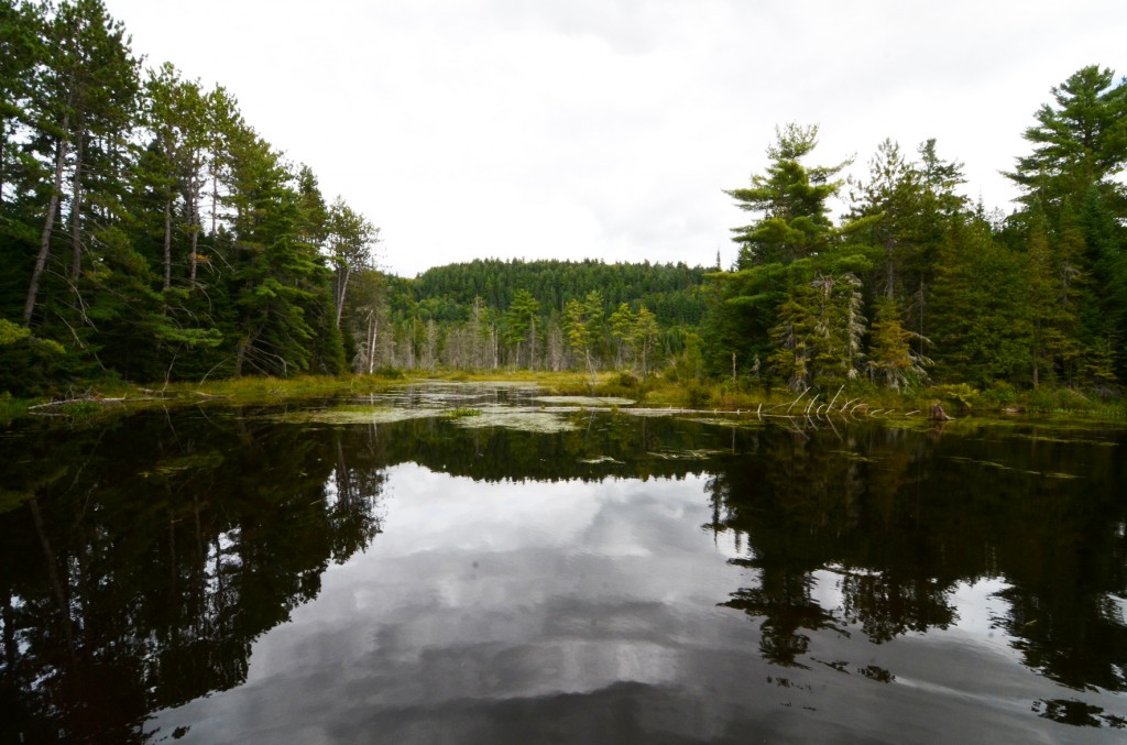 la mauricie (12)