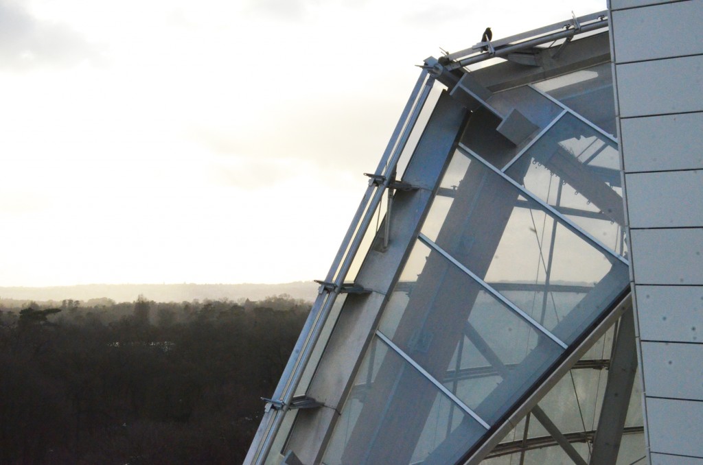 la fondation Louis Vuitton (17)