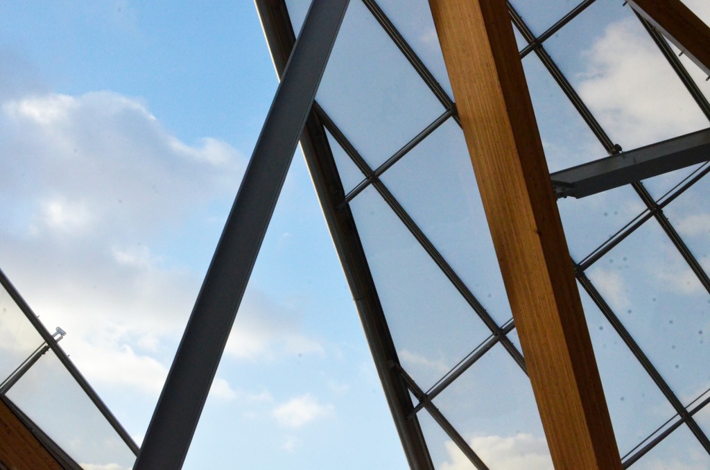 la fondation Louis Vuitton (18)
