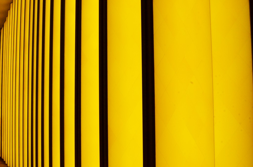 la fondation Louis Vuitton (23)