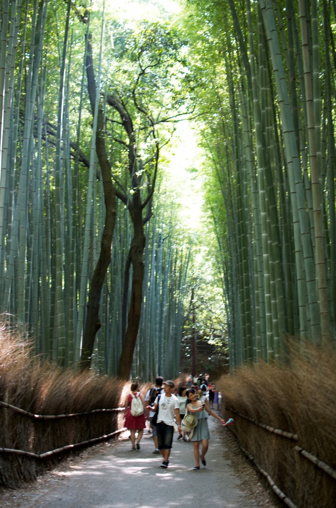kyoto (13)