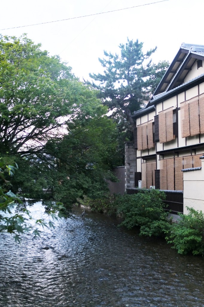 kyoto (26)