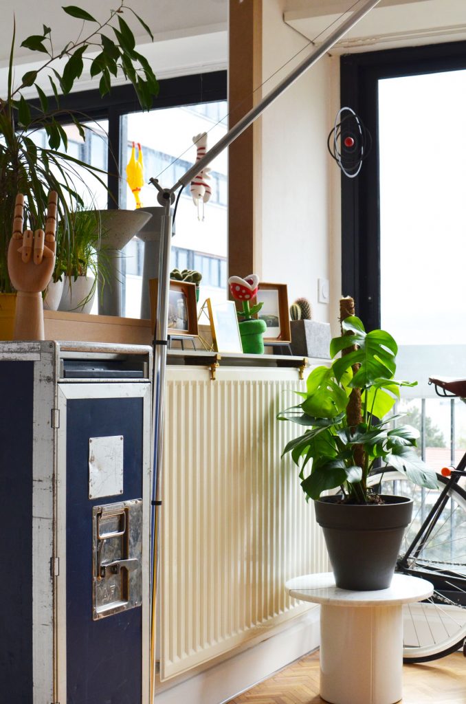 Une plante dans mon salon (6)
